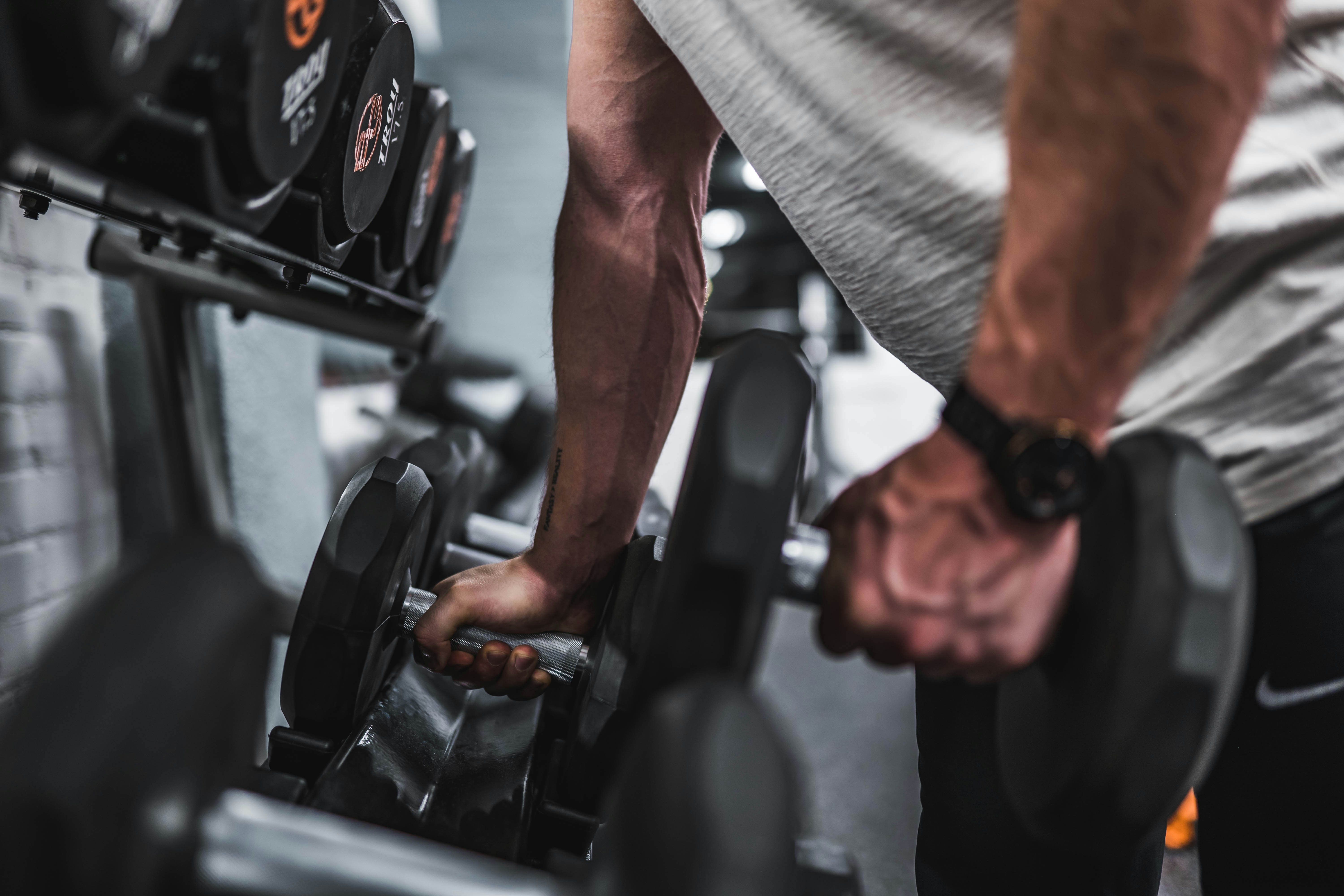 Open gym strength training